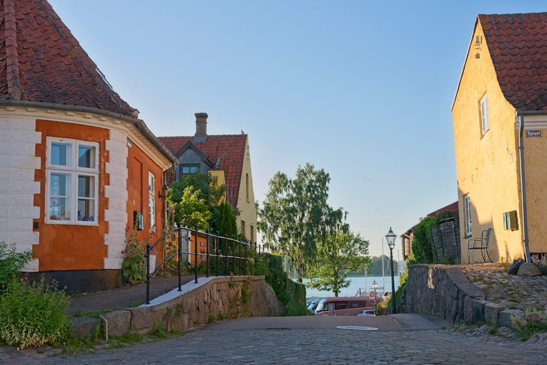 young people in danish village