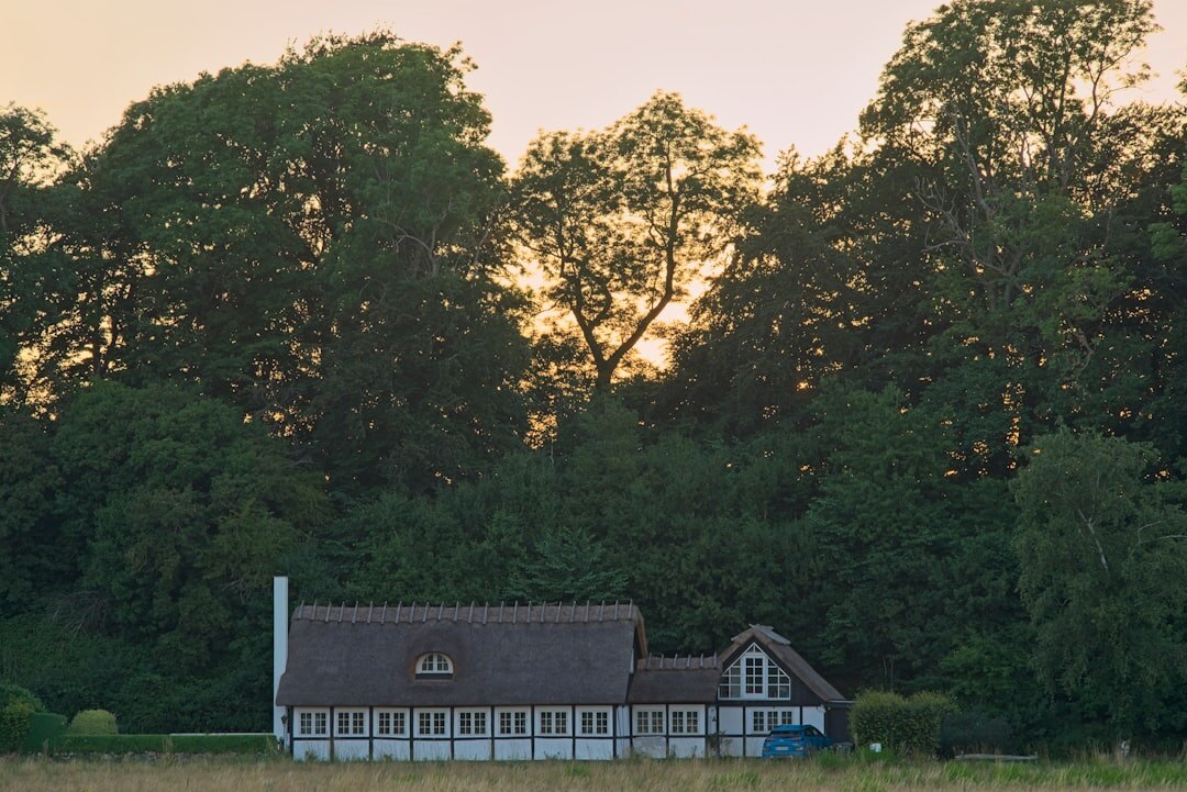 danish countryside landscape